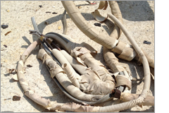 空調銅配管(皮付)